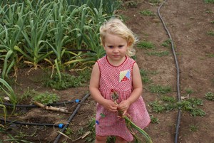 Vanderpool Gourmet Gardens