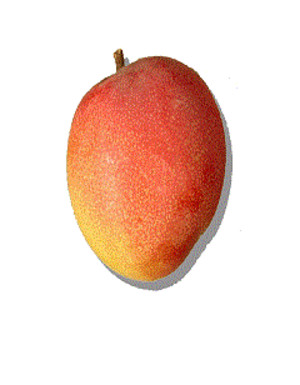 Pernas Groves