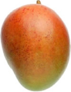 Pernas Groves
