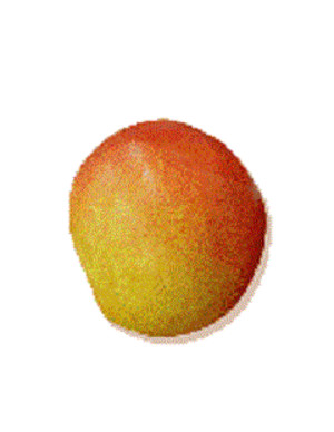 Pernas Groves