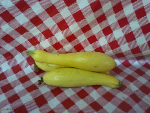 Double Bridges Farm