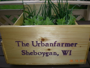 The Urbanfarmer