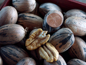 Moshat Pecans