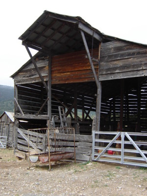 Potter's Ranch
