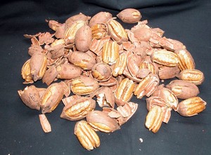 Byrd's Pecans