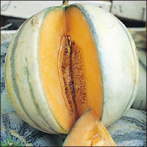 Organic Heirloom Plants