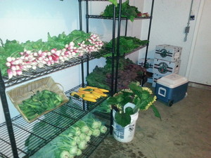 Amazing Grace Family Farm