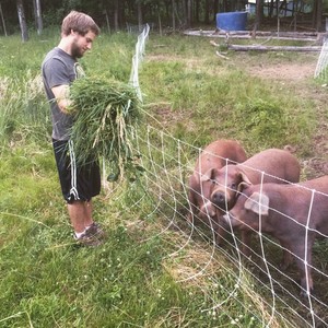 Rooster Dirt Farm
