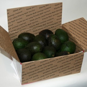 Paradise Grove Avocados
