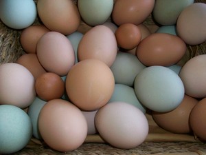 Chicoine Family Farm LLC