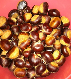 Persimmon Acres