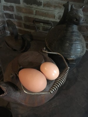 Whistle Punk Farm