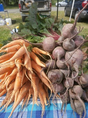 PoleStar Farm
