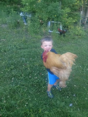 Trenfield Food Forest