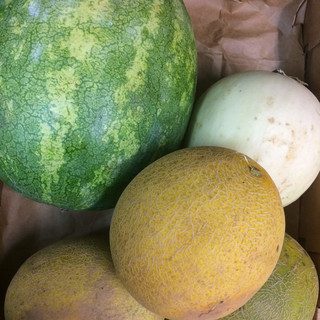 Highland Orchards Farm Market