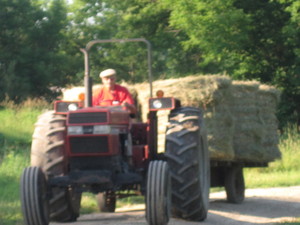 The Family Farm