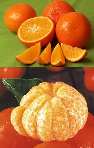 The Orange Shop