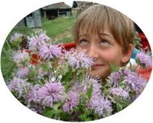 Goods From The Woods - A Wild Crops Farm