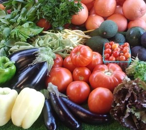 Eli's Farms