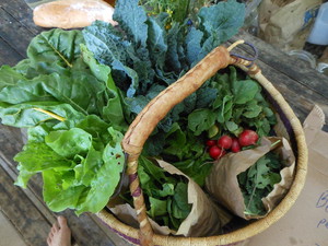 Circle Acres Farm
