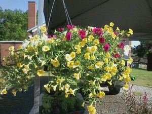 Oxford Farmers Market