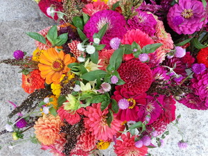 Sarah's Petals