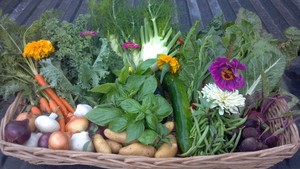 Maggie's Farm