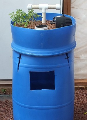 Abundant Harvest Aquaponics