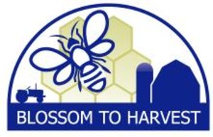 BLOSSOM TO HARVEST