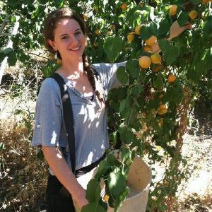 Fantozzi Farms Fruit Stand