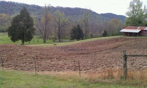Martin Farms