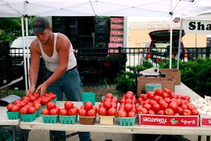 Independence Park Farmers Market