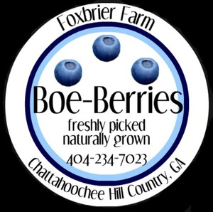 Foxbrier Farm: Boe Berries