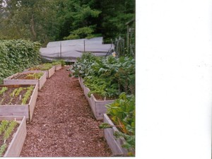 Nature's Harvest Organic Farm