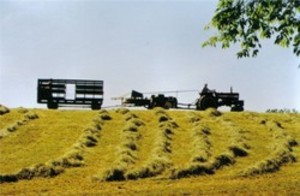 Walnut Grove Farms