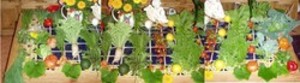 Alternative Community Farmer -Consultant/ South Florida