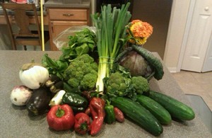 Gamble Creek Farm