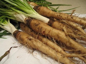 Our Vegetable Patch