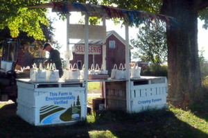 Morrison Orchards