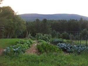 Peace of Earth Farm