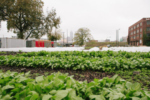 Big City Farms