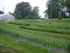 Fichter Farm