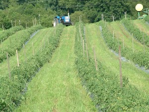 Rittenhouse Farm & Produce
