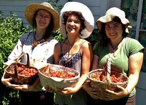 The Borner Farm Project