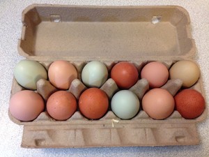 Blackbroom Farm