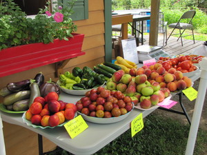 Goose Pond Farm