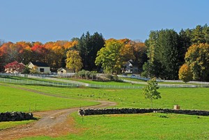 New Pond Farm