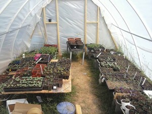 Cripple Creek Farms