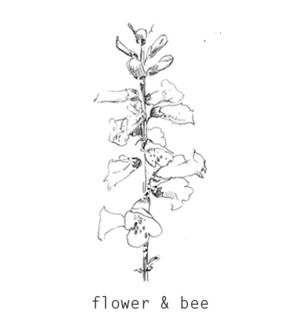 flower & bee