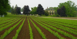 Weston's Farm and Markets